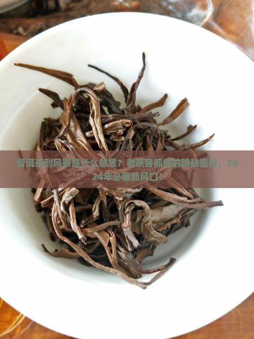 普洱茶刮风寨是什么意思