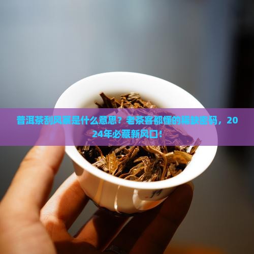 普洱茶刮风寨是什么意思