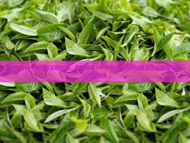 普洱茶400克的意义