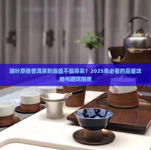 瑞叶原香普洱茶