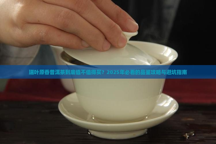 瑞叶原香普洱茶
