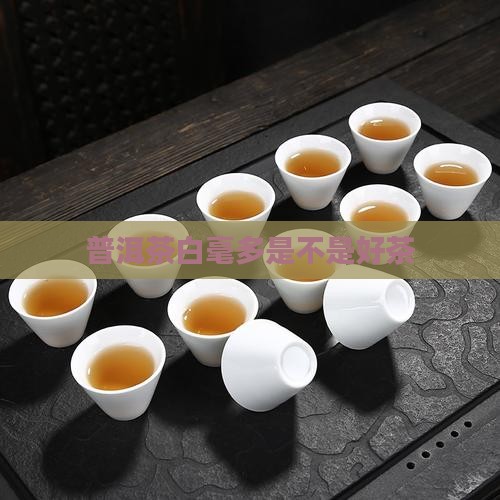 普洱茶白毫多是不是好茶