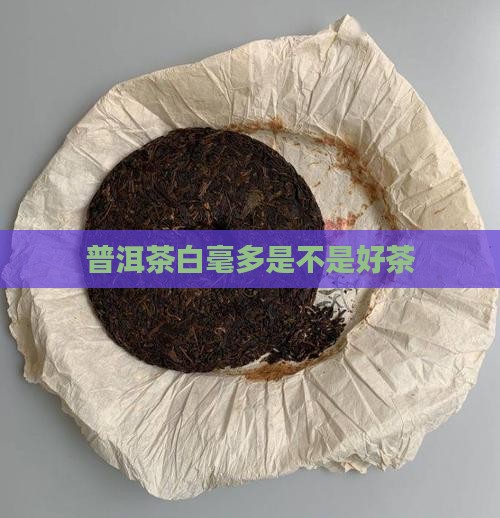 普洱茶白毫多是不是好茶