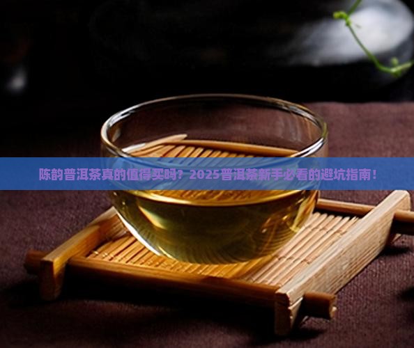 陈韵普洱茶怎么样