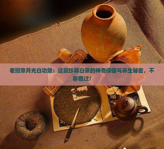 老班章月光白功效