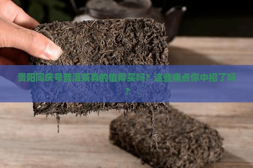 贵阳同庆号普洱茶