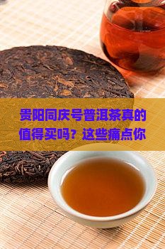 贵阳同庆号普洱茶