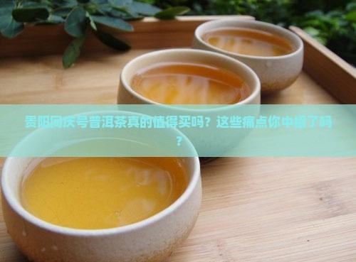 贵阳同庆号普洱茶