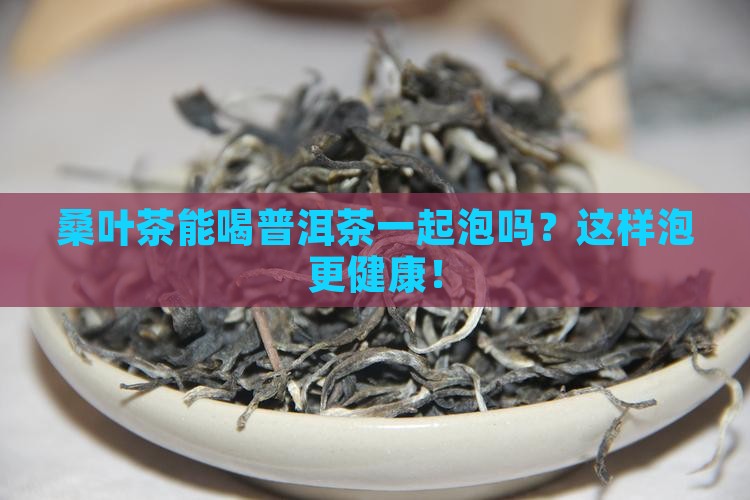 桑叶茶能喝普洱茶一起泡吗