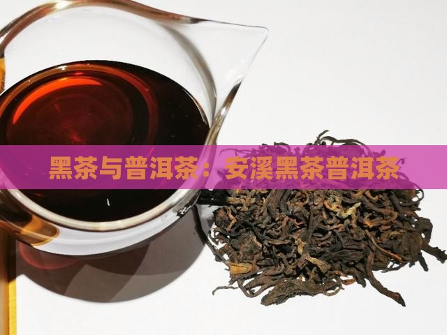 安溪黑茶普洱茶