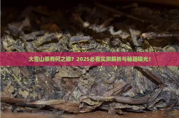 大雪山茶有什么之称