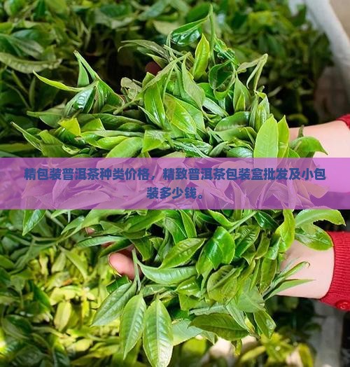精包装普洱茶种类价格