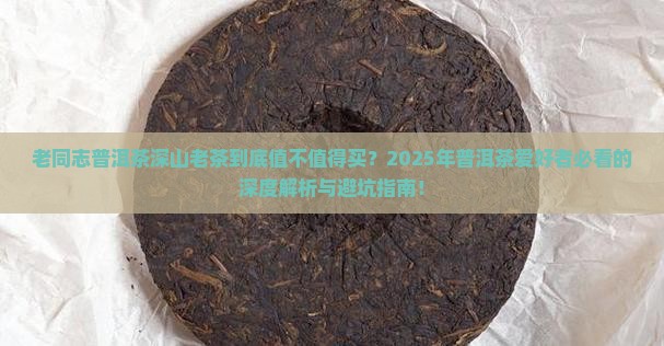 老同志普洱茶深山老茶