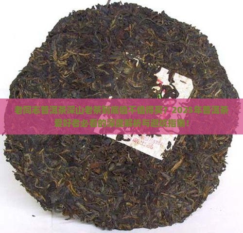 老同志普洱茶深山老茶