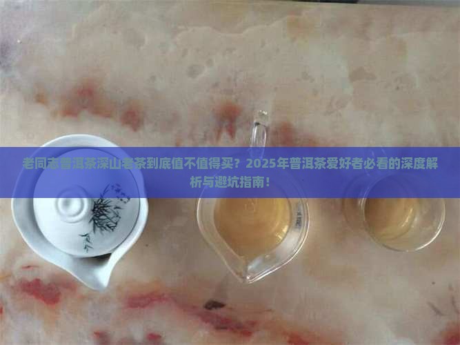 老同志普洱茶深山老茶