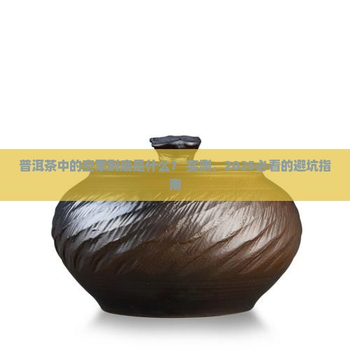 普洱茶中的空军是什么意思