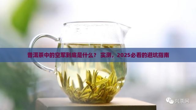 普洱茶中的空军是什么意思