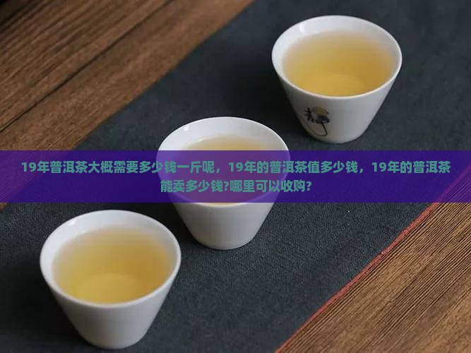 19年普洱茶大概需要多少钱