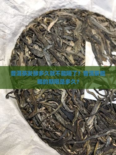 普洱茶发酵多久就不能喝了