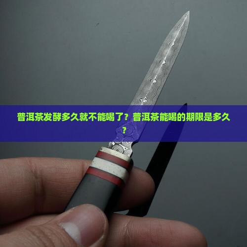 普洱茶发酵多久就不能喝了