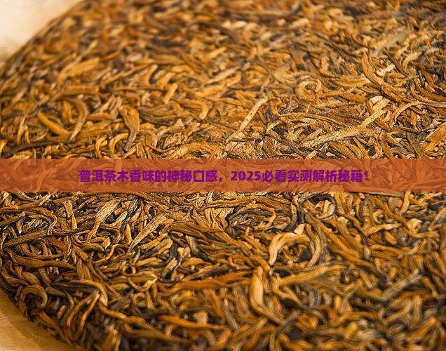 普洱茶木香味口感