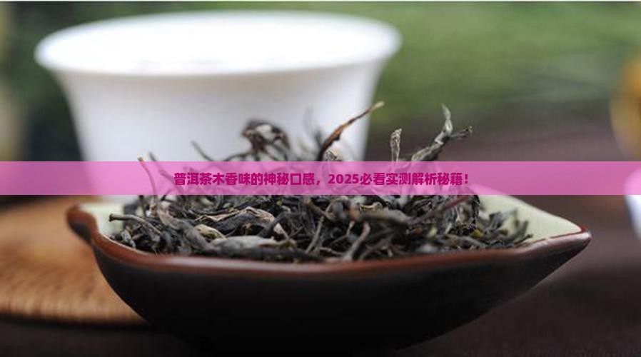 普洱茶木香味口感
