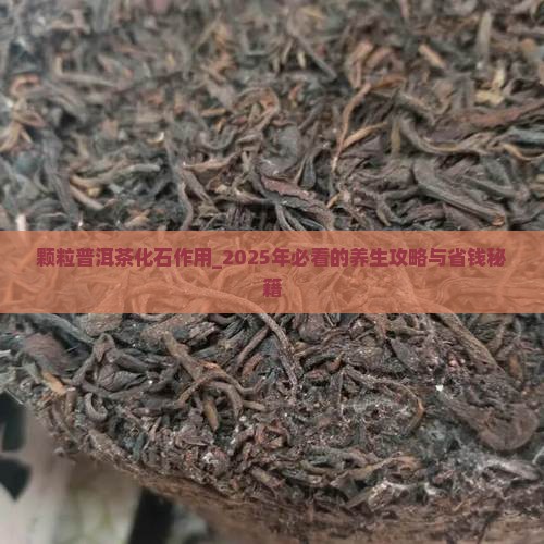 颗粒普洱茶化石作用