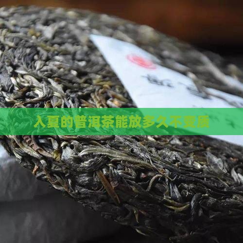 入夏的普洱茶能放多久不变质