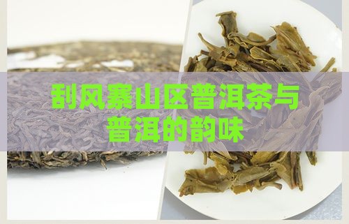 云南刮风寨的普洱茶