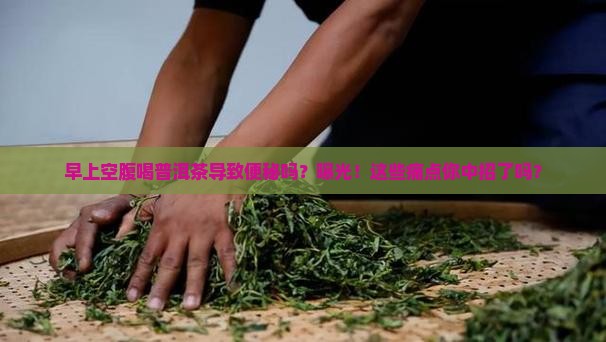 早上空腹喝普洱茶导致便秘吗