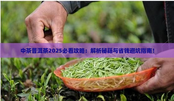 中茶普洱茶的新闻