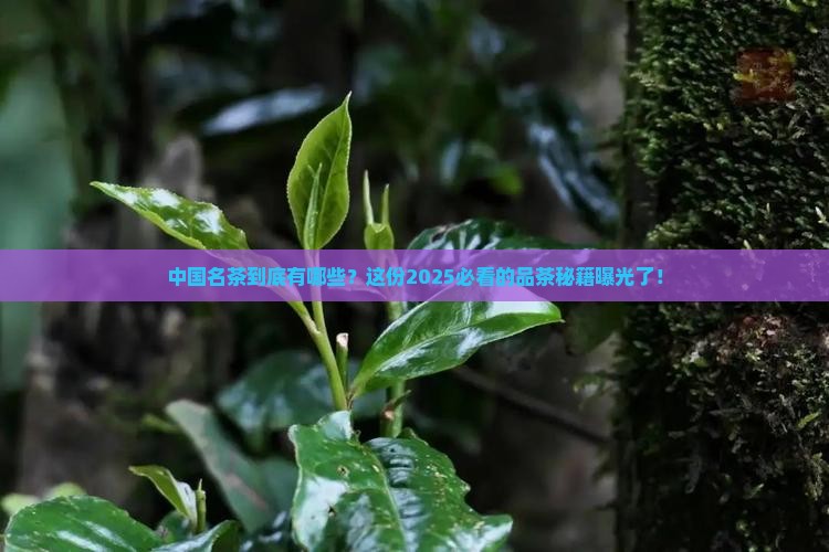 中国名茶的品种和产地