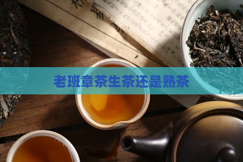 老班章茶生茶还是熟茶