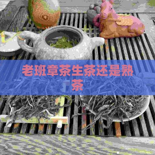 老班章茶生茶还是熟茶