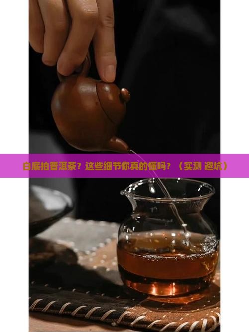 白色背景拍普洱茶