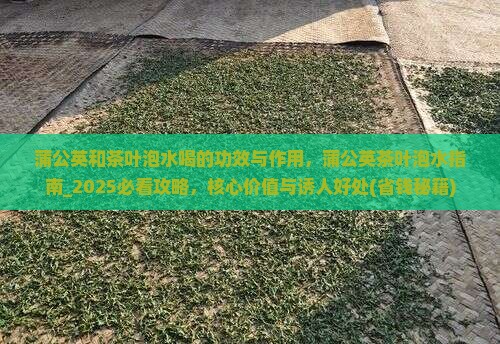 蒲公英和茶叶泡水喝的功效与作用