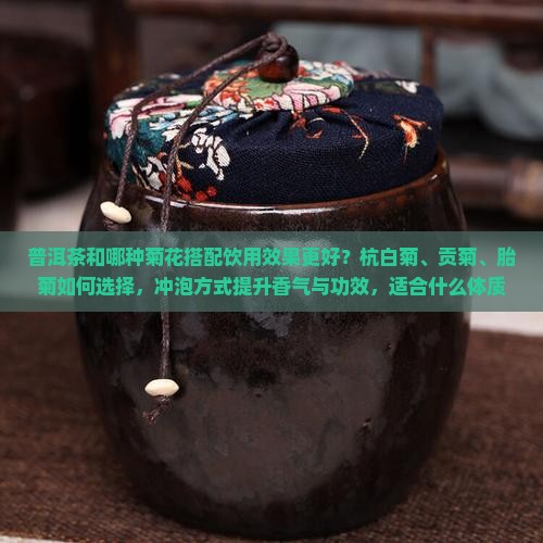 普洱茶和那种菊花泡更好