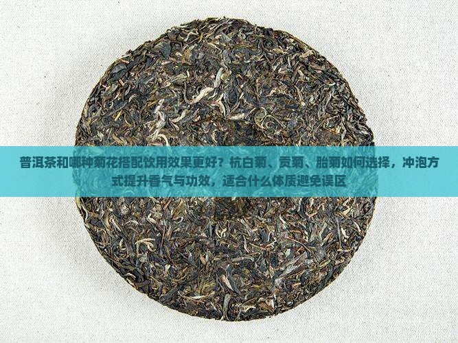 普洱茶和那种菊花泡更好