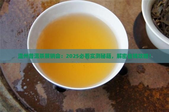 温州普洱茶展销会