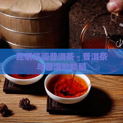 昆明悠润普洱茶