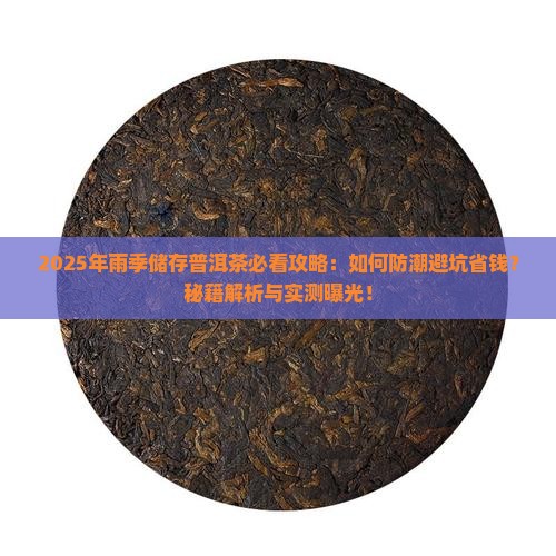 雨季怎么储存普洱茶的