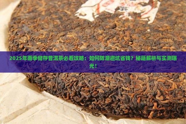 雨季怎么储存普洱茶的