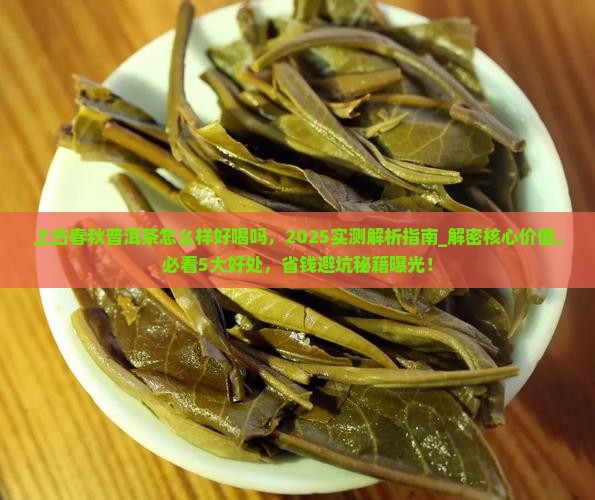 上古春秋普洱茶怎么样好喝吗