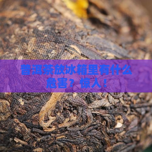 普洱茶放冰箱里有什么危害
