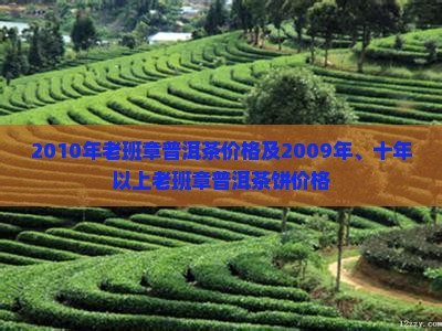2010年老班章普洱茶