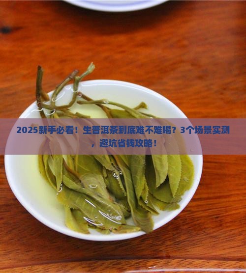 生普洱茶难不难喝