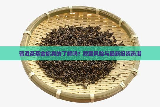 普洱茶基金编号
