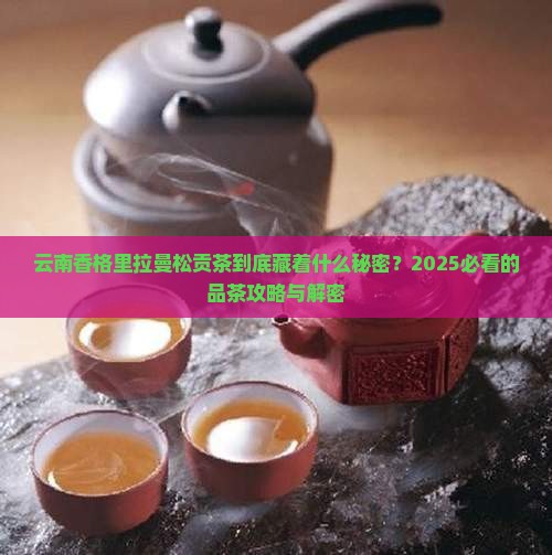 云南香格里拉曼松贡茶