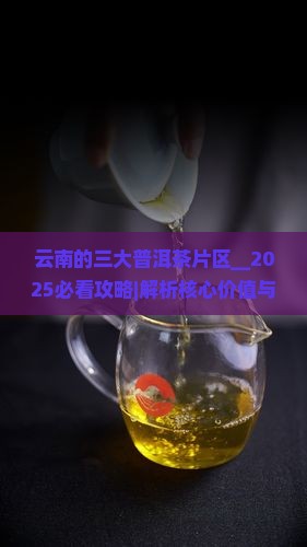 云南的三大普洱茶片区