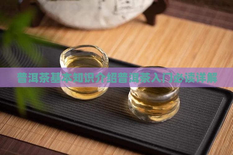普洱茶基本知识介绍